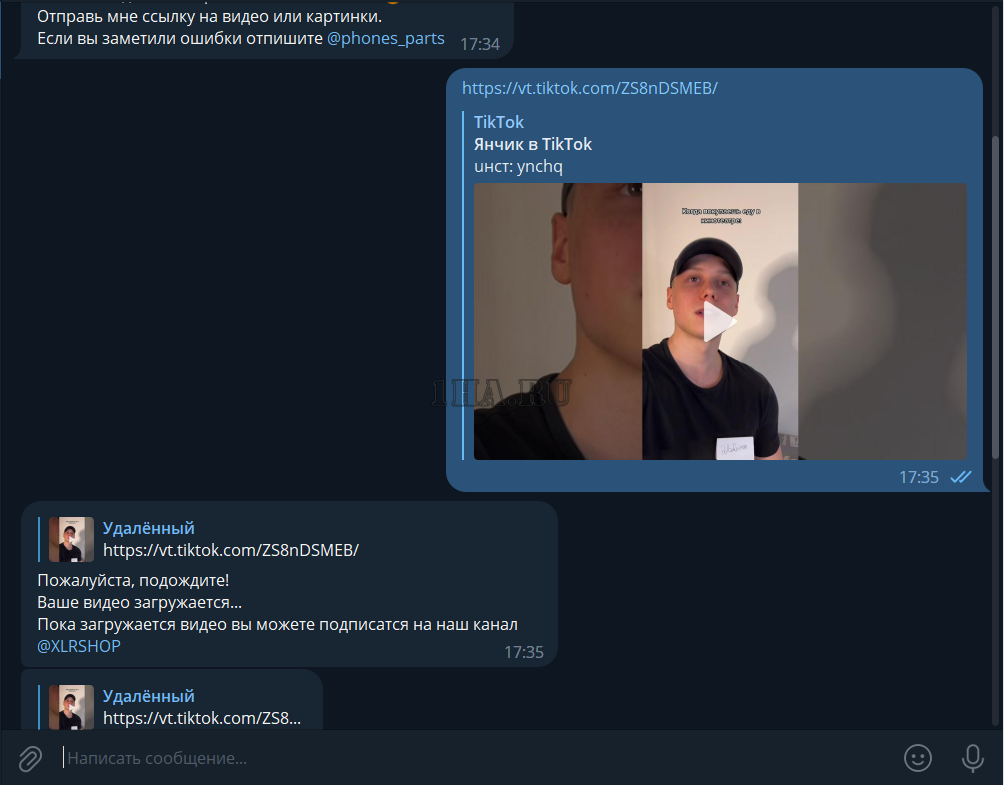 Скрипт telegram бота по скачиванию видео с TikTok