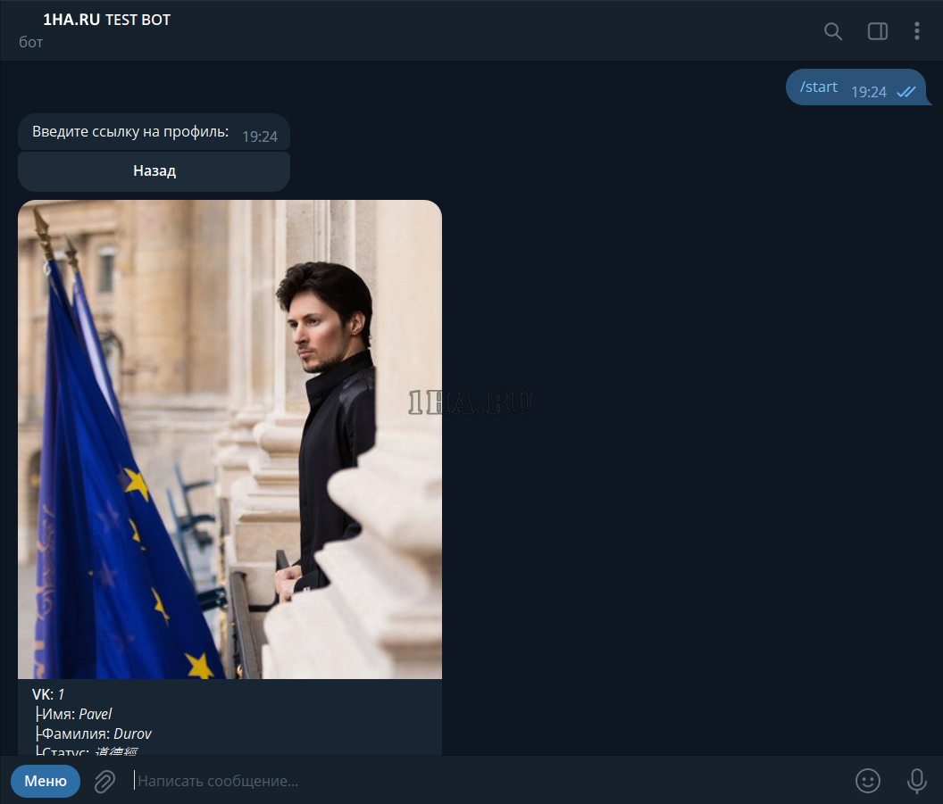 Скрипт Telegram бота по осинту
