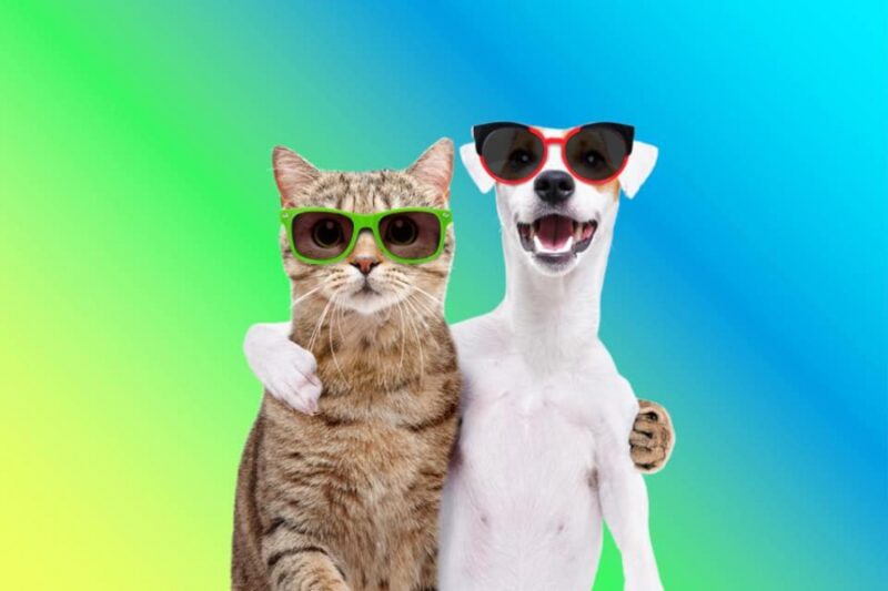 Животные 123 тест